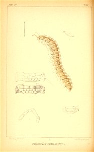 n129_w1150