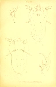 n192_w1150