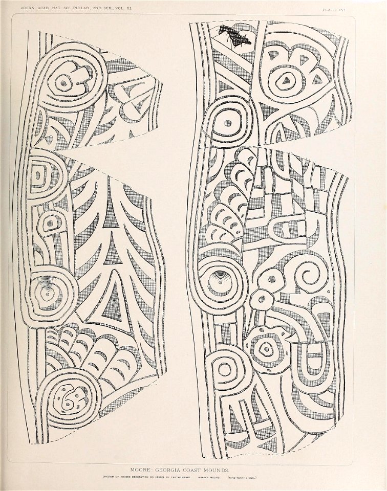 n568_w1150