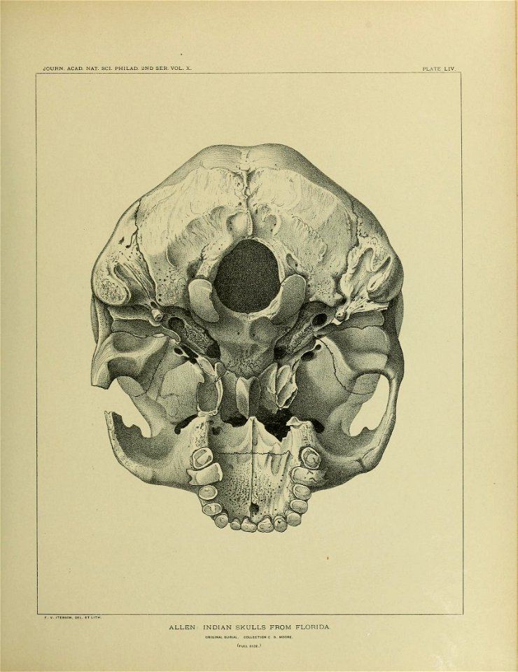 n658_w1150