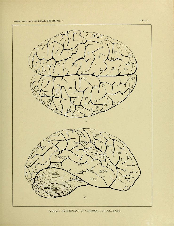 n628_w1150