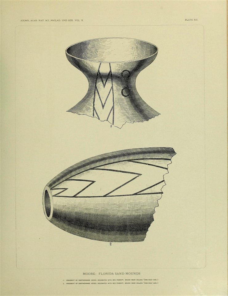 n568_w1150