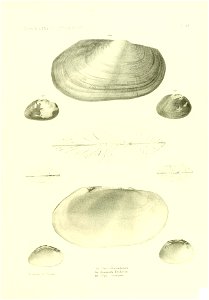 n458_w1150
