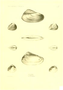 n398_w1150