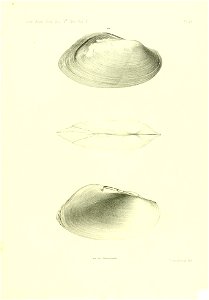 n576_w1150