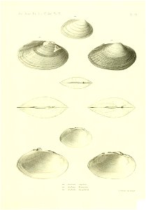 n546_w1150