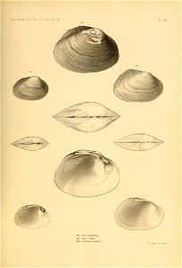 n508_w1150