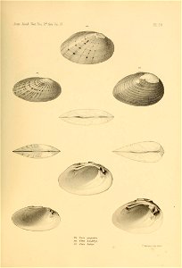 n538_w1150