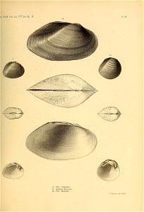 n478_w1150