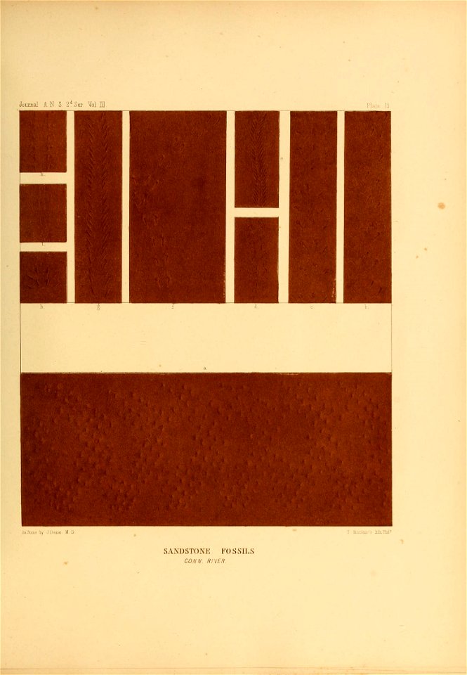 n424_w1150