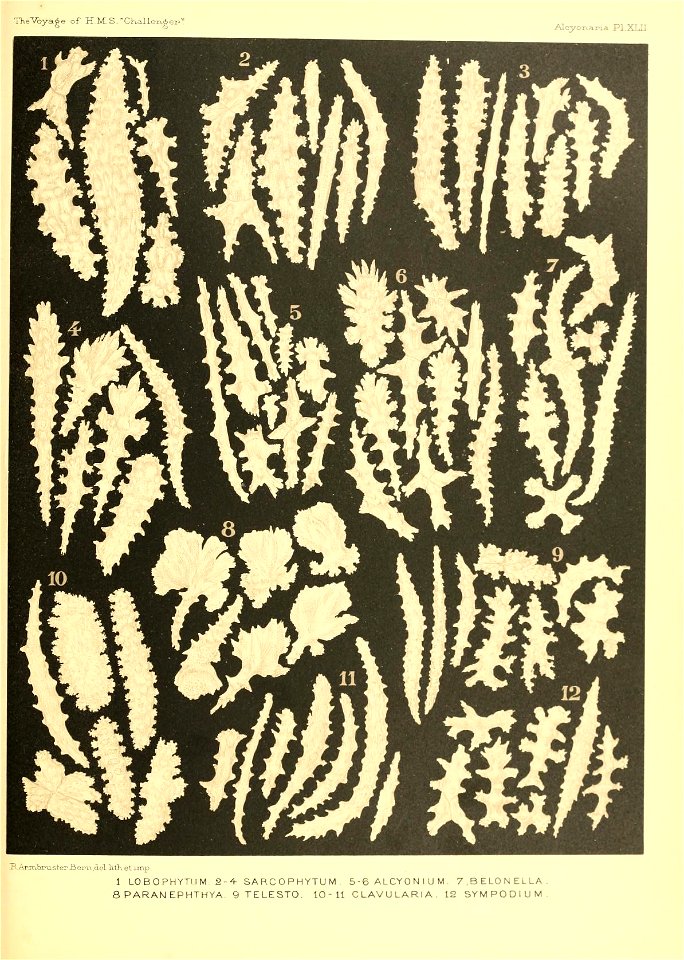 n590_w1150