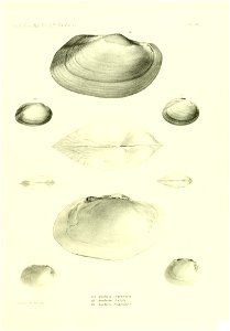 n456_w1150
