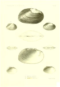 n544_w1150