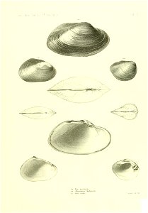 n514_w1150