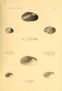 n536_w1150