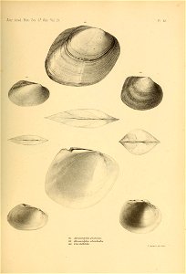 n506_w1150