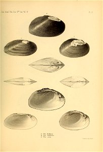 n476_w1150