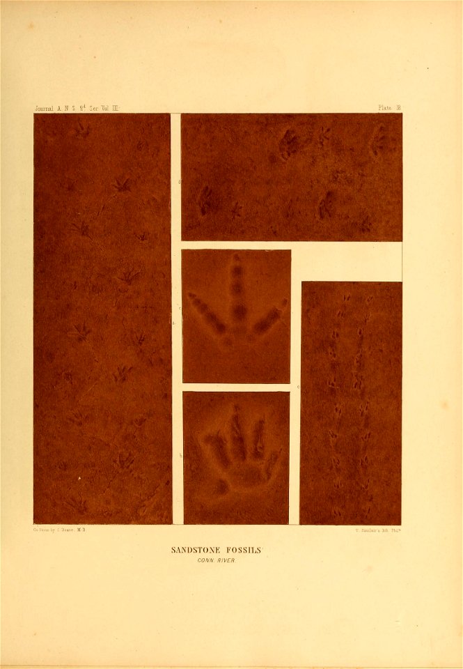 n422_w1150