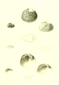 n474_w1150
