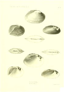 n542_w1150