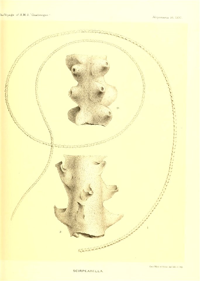 n526_w1150