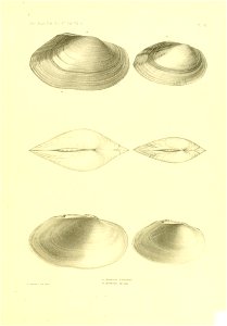n394_w1150