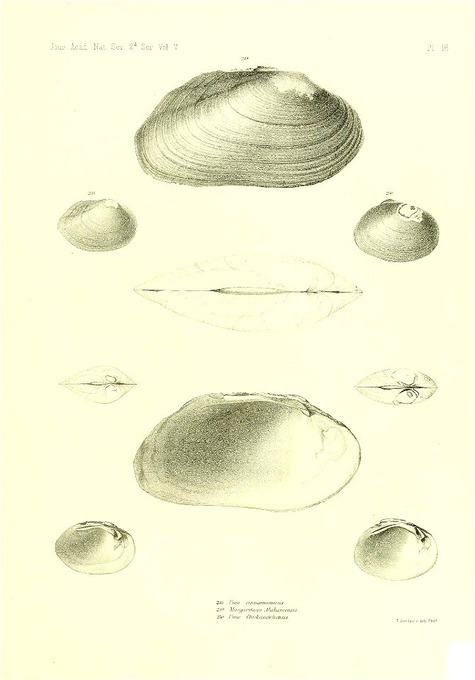 n512_w1150