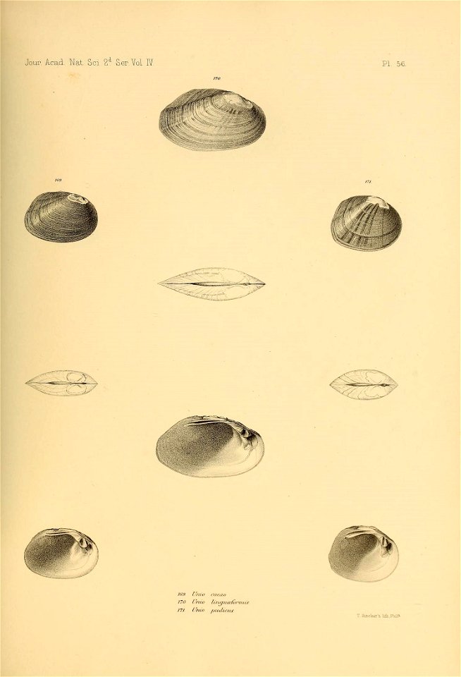 n534_w1150