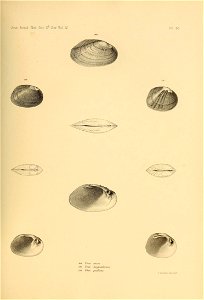 n534_w1150