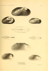 n504_w1150