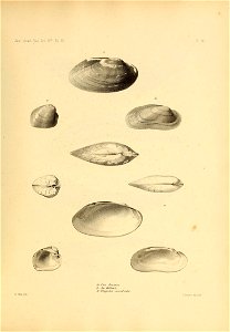 n452_w1150