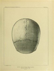 n680_w1150