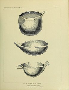 n590_w1150