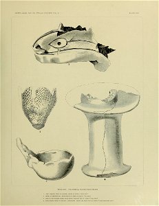 n560_w1150