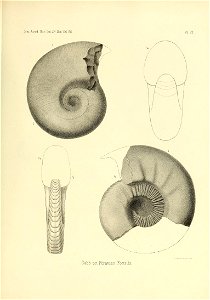 n536_w1150