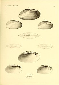 n506_w1150