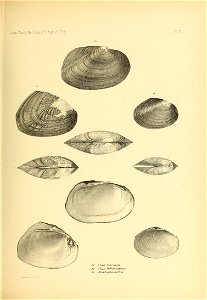 n476_w1150
