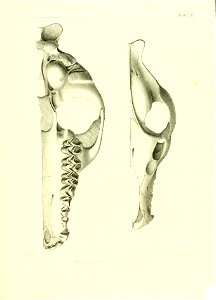 n494_w1150
