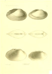 n392_w1150