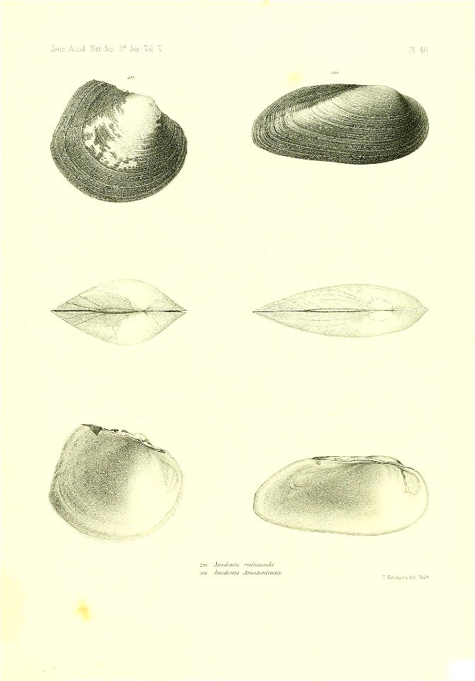 n570_w1150