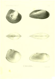 n570_w1150