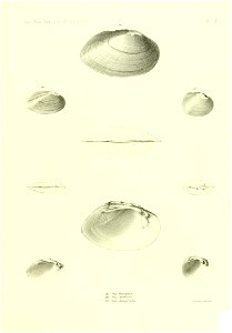 n510_w1150