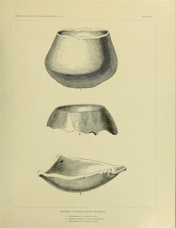n558_w1150
