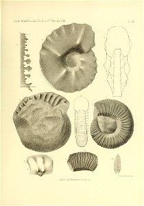 n534_w1150