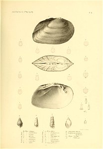 n504_w1150