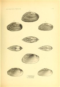 n474_w1150