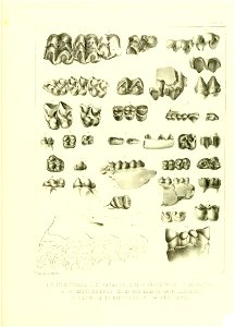 n522_w1150