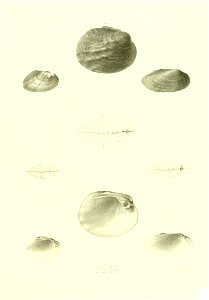 n472_w1150