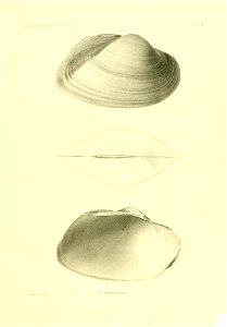 n390_w1150