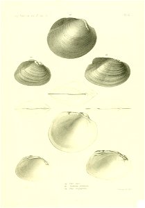 n568_w1150